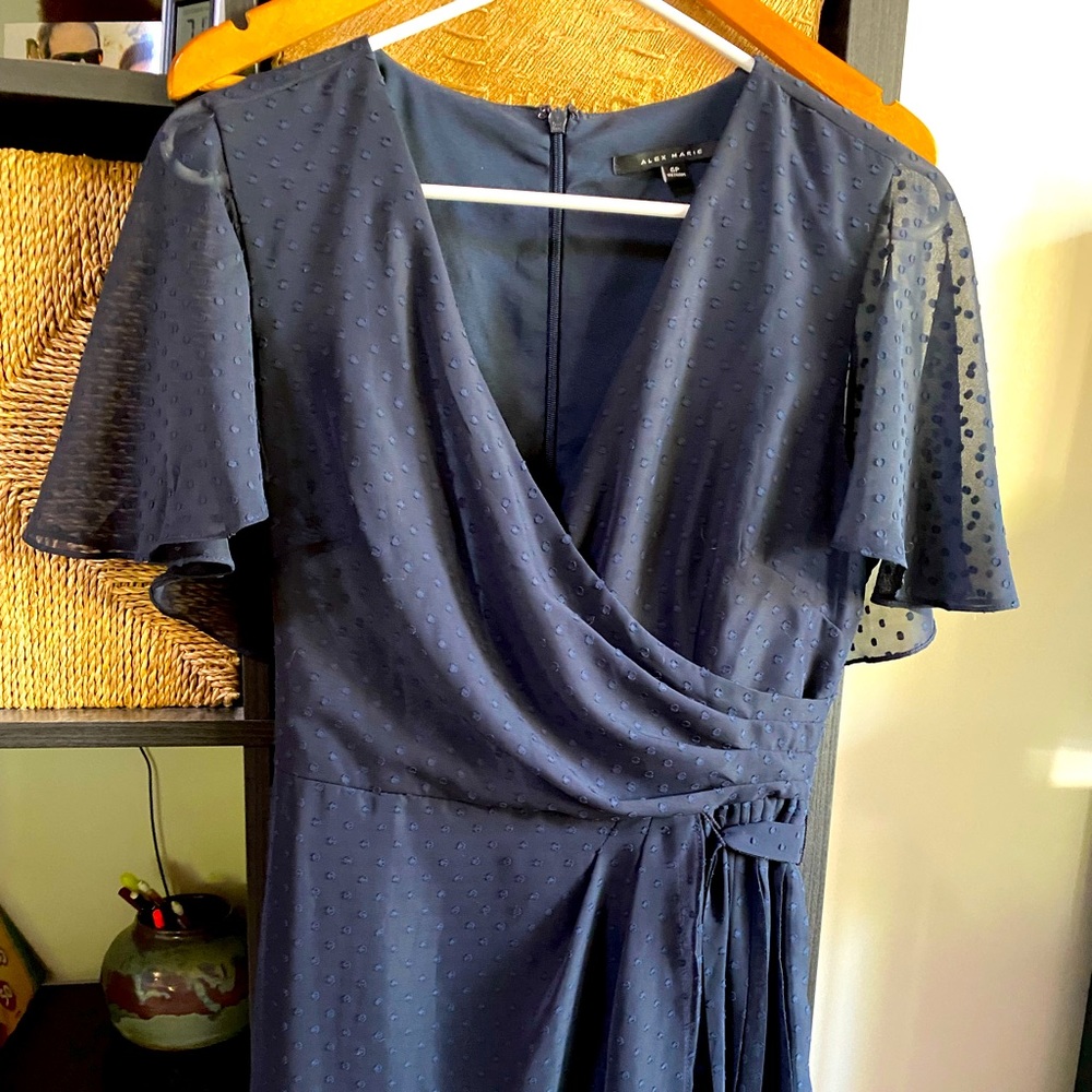 Alex Marie dress navy size 6P